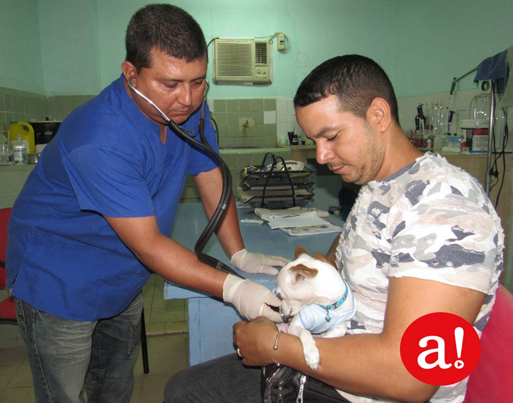 Clinica veterinaria Hg Alexis 01