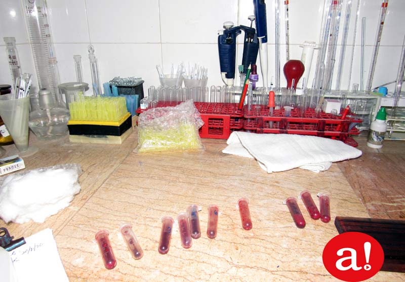 Clinica veterinaria Hg Alexis 04