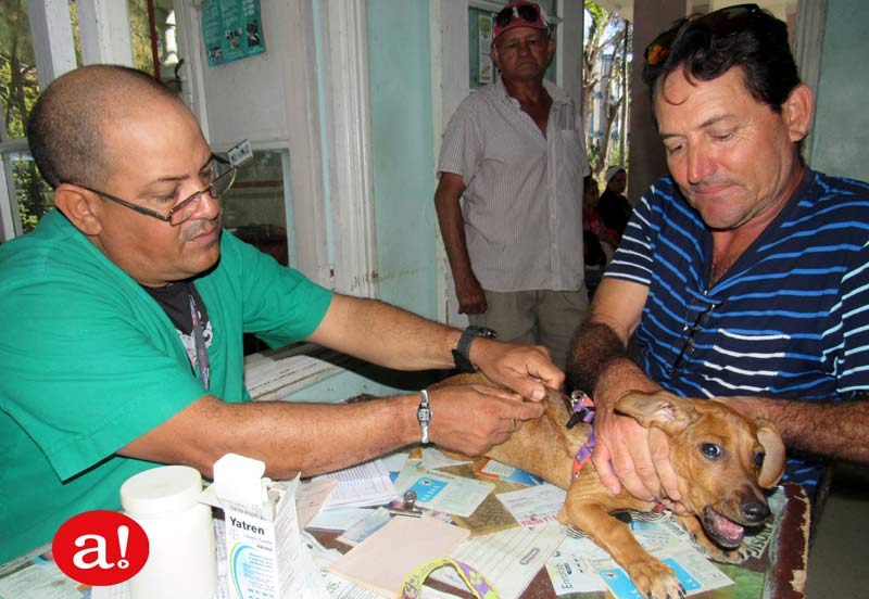 Clinica veterinaria Hg Alexis 07