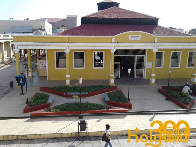 Holguín 300 Fotorrep Alexis 08