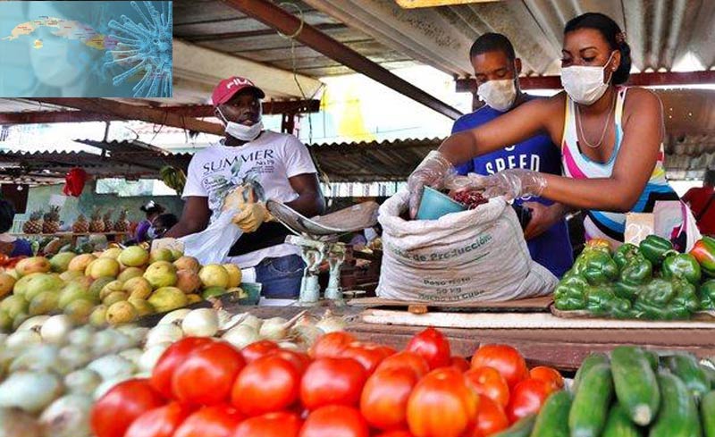 Medidas alimentacion ACN 01