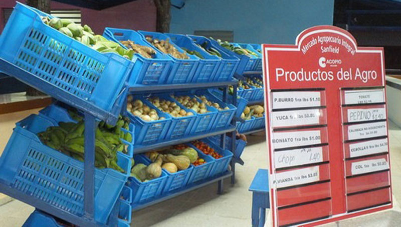 Medidas alimentacion ACN 03