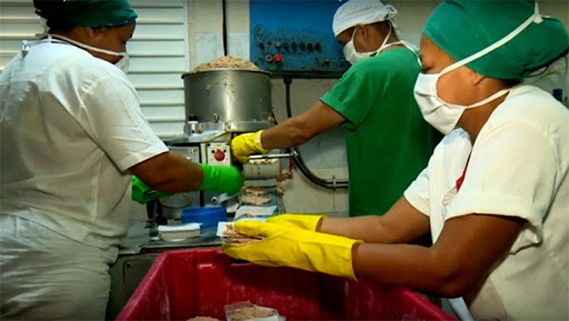 Medidas alimentacion La Demajagua 2