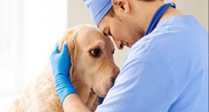 Veterinarios Cuba aniversario