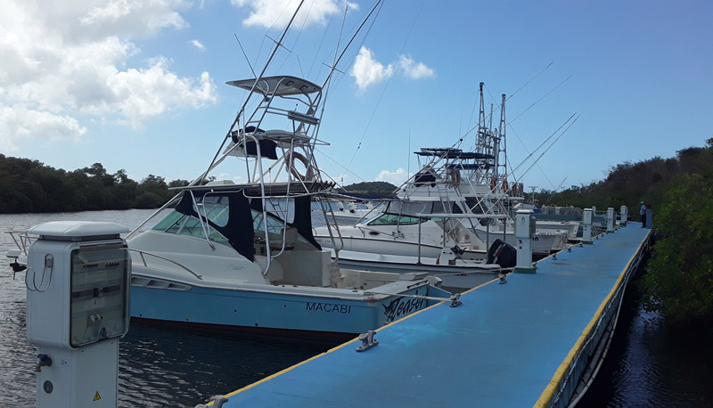 puerto vita covid 19 1