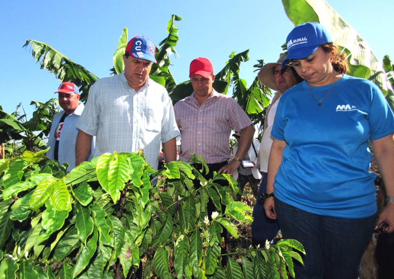 recorrido mayari 2