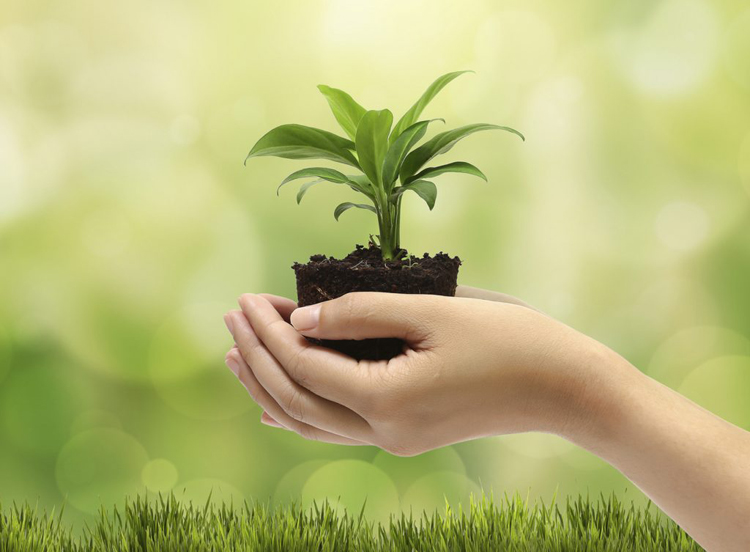 medio ambiente 1