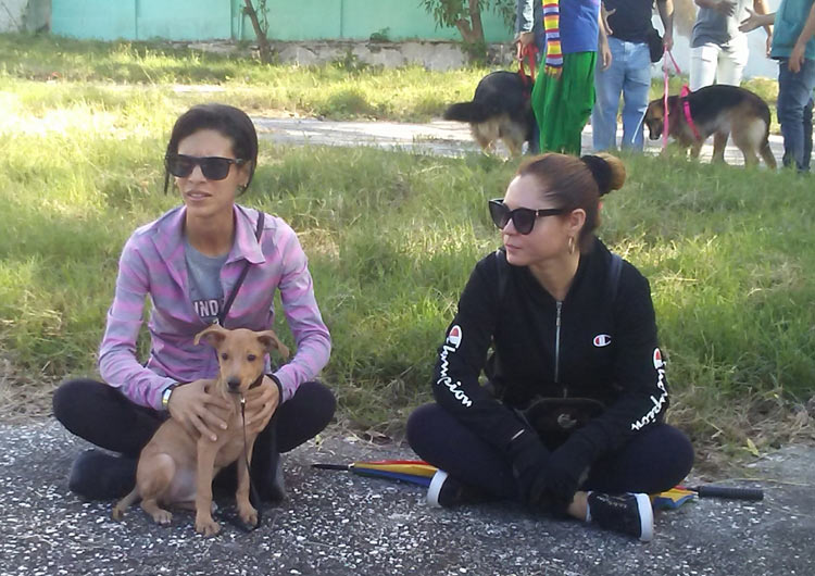 Quienes asistieron a la Feria manifestaron su agrado con la iniciativa, la cual consideran muy “pertinente y necesaria” Feria Mascotas Foto 3 jpg