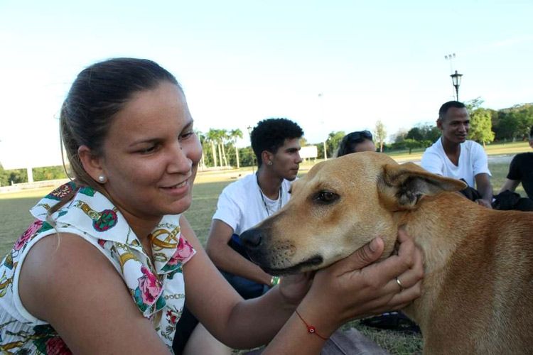 Feria Mascotas foto 1