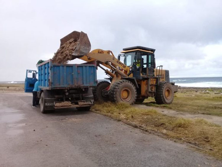 basura litoral