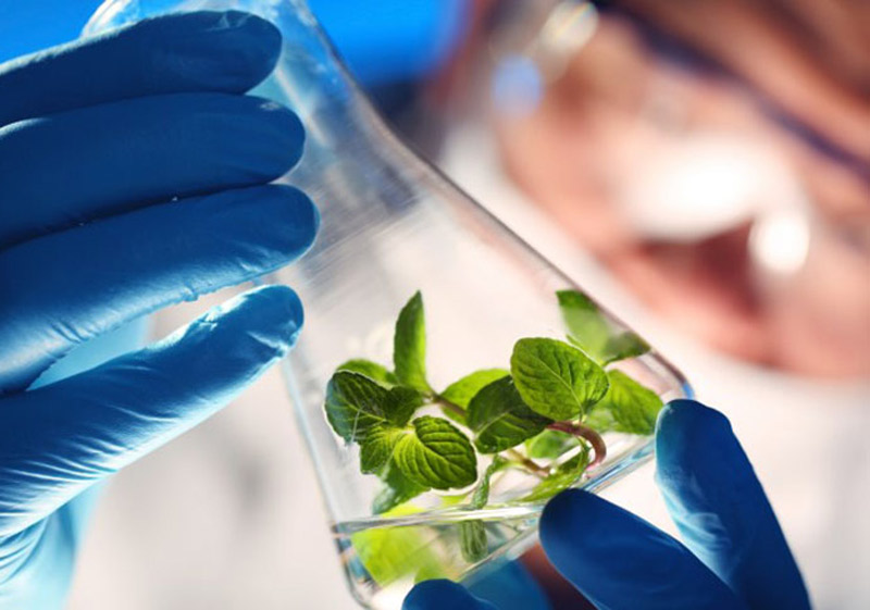 "Es necesario poner la ciencia en función de avanzar con los pasos que demanda el momento para ser sostenibles en el tiempo" polo productivo ciencia