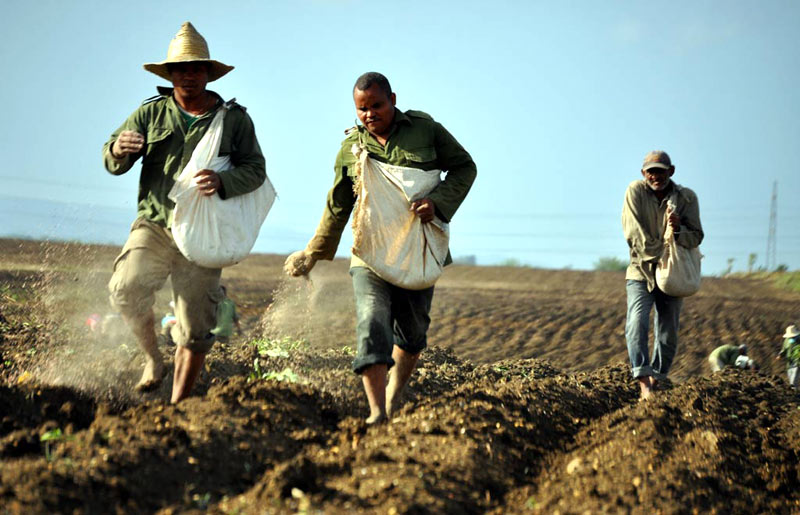 Photo: Alexis del Toro Agricultura retos Alexis