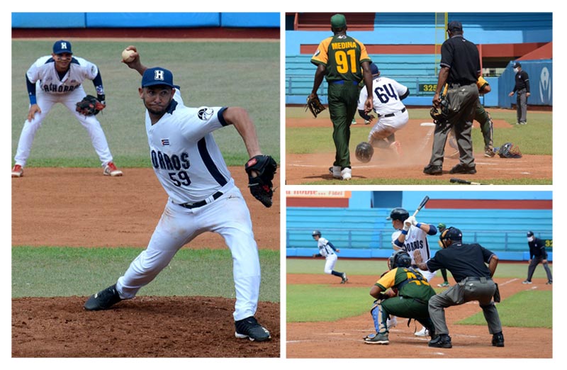 Cachorros serie 60 Collage AMH