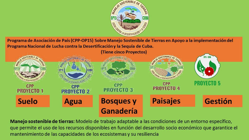 Sequia Gráfico prog suelo