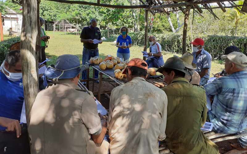 Estos encuentros garantizan la preparación de los productores para que sus cultivos tengan mayor rendimiento Sequia U Noris 1