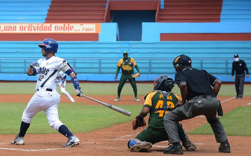 Fotos: Carlos Rafael cachorros santiesteban 2