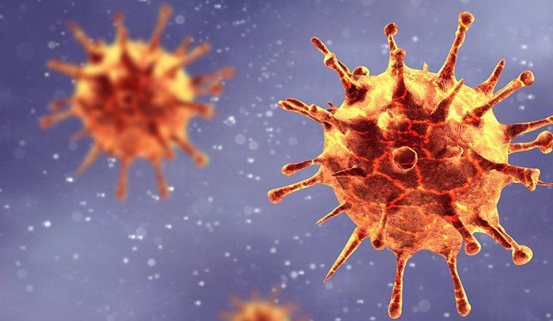 coronavirus