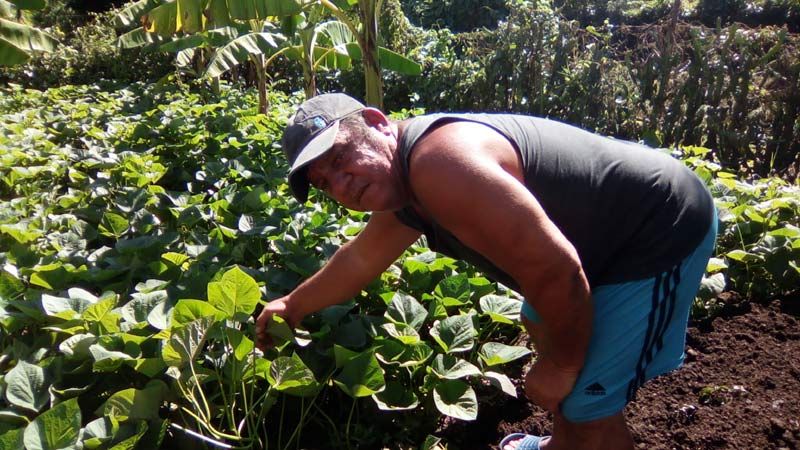 joaquin guerra 2