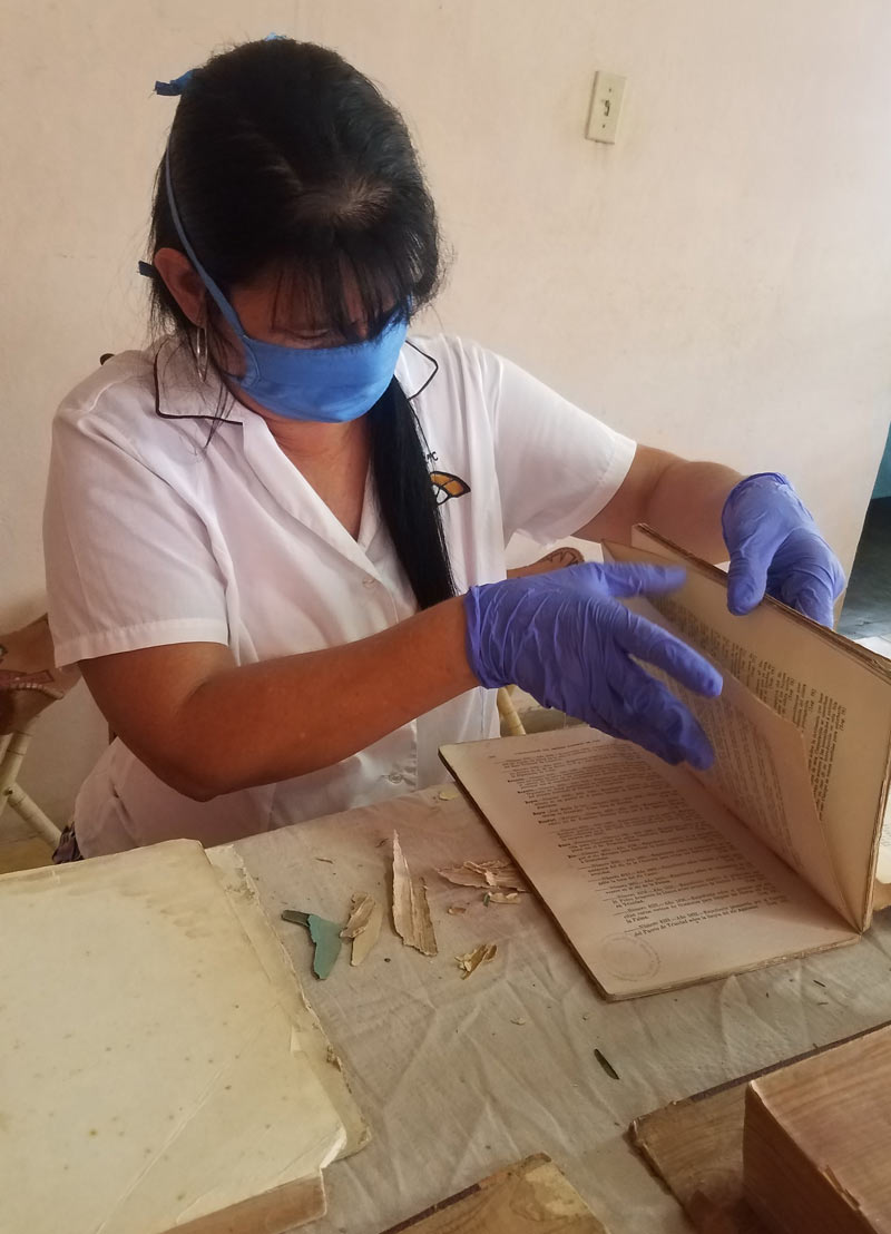 Conservación casa calixtoG 3