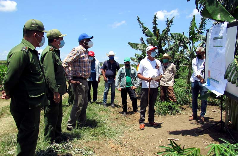Valdés Mesa rec final ATH 1
