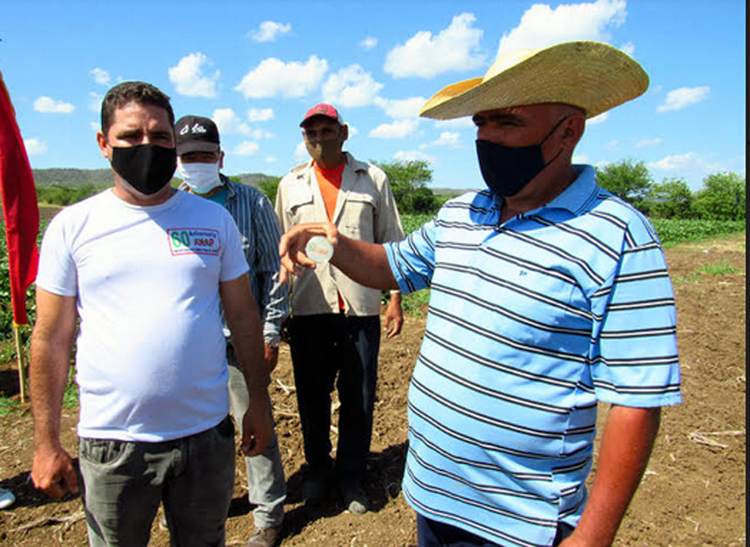 trabajo voluntario holg5