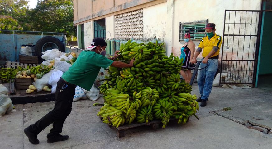 Donaciones anap salud 