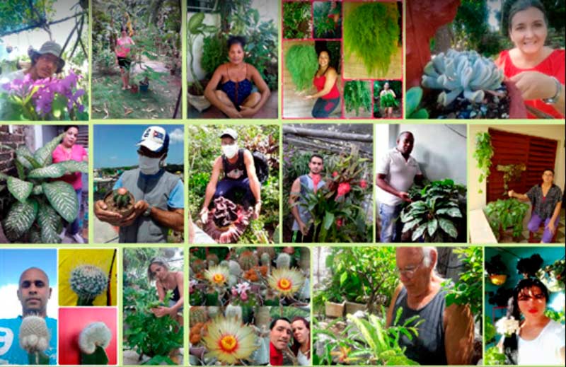 Festival Amigos del Jardín Botánico
