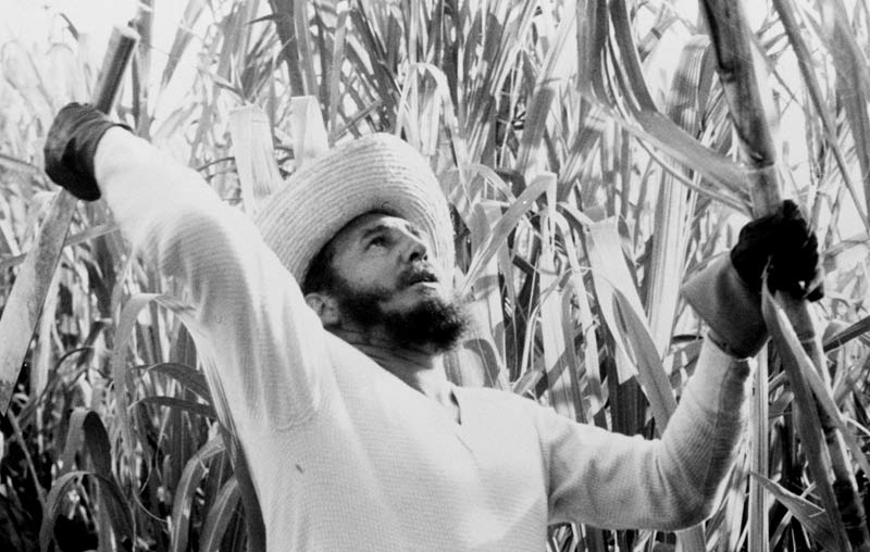 Fidel Castro caña 3