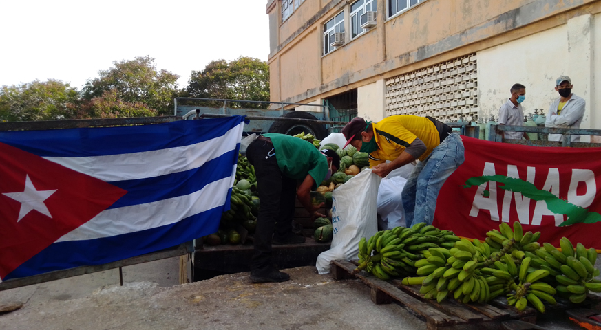 donaciones anap salud