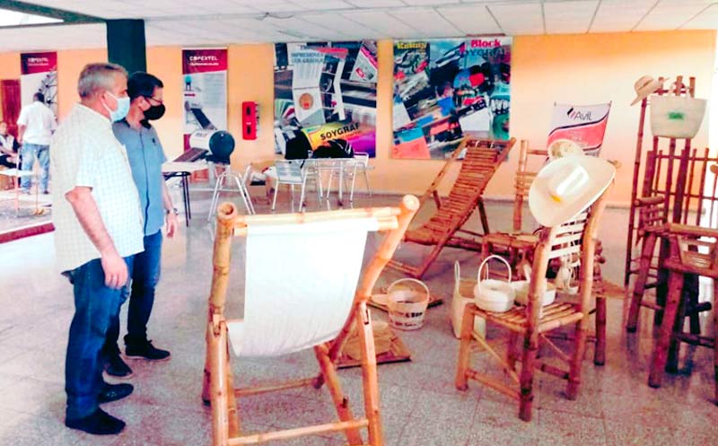Bamboo furniture, manufactured by Avil (Industrias Locales de Holguín), with the potential to become a new exportable item. Photo: courtesy of Darelys Carrasco Rojas Forum mubles bambú