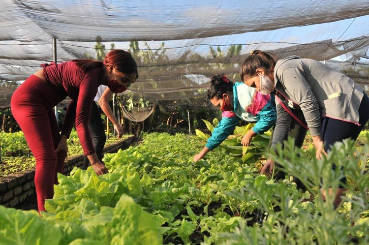 alimentos salud covid