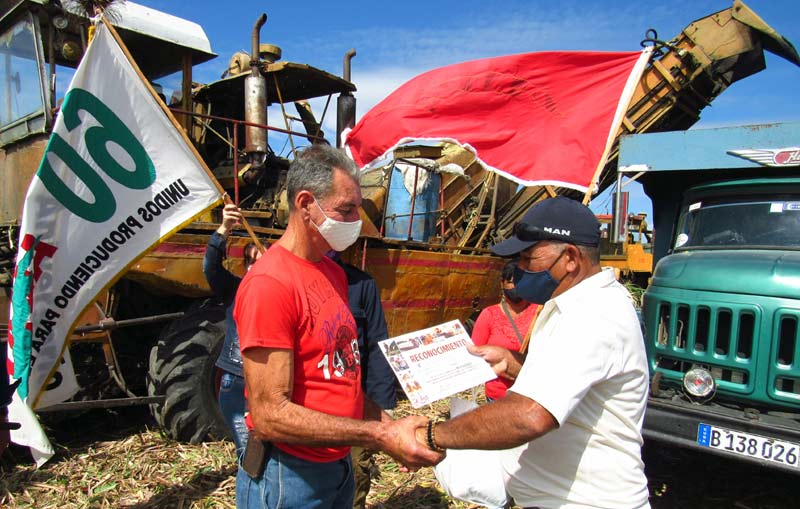 Varios anapistas fueron agasajados por su labor dentro de la organización del campesinado cubano. ATH bandera anap U Noris 4