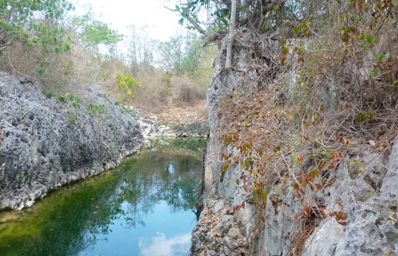 Entrevista Yenny torres 3