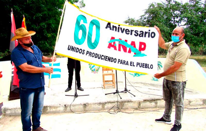 bandera anap 01
