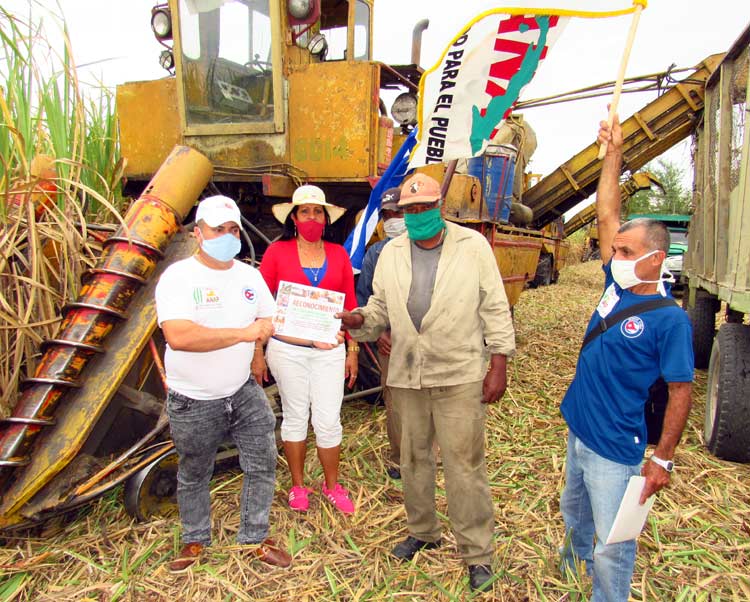 bandera anap 4