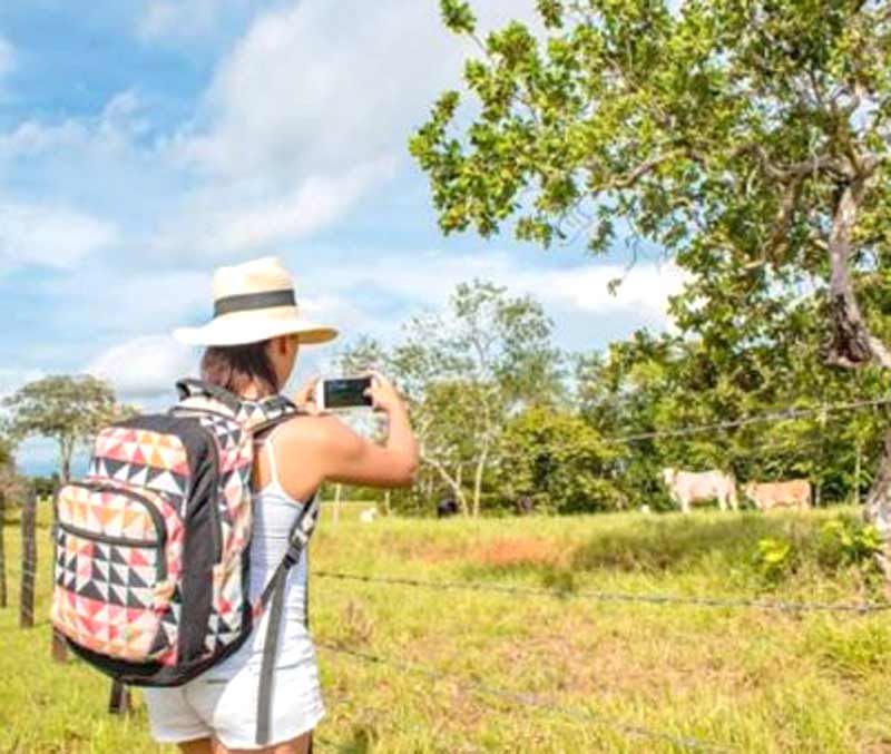 fincas agroturisticas