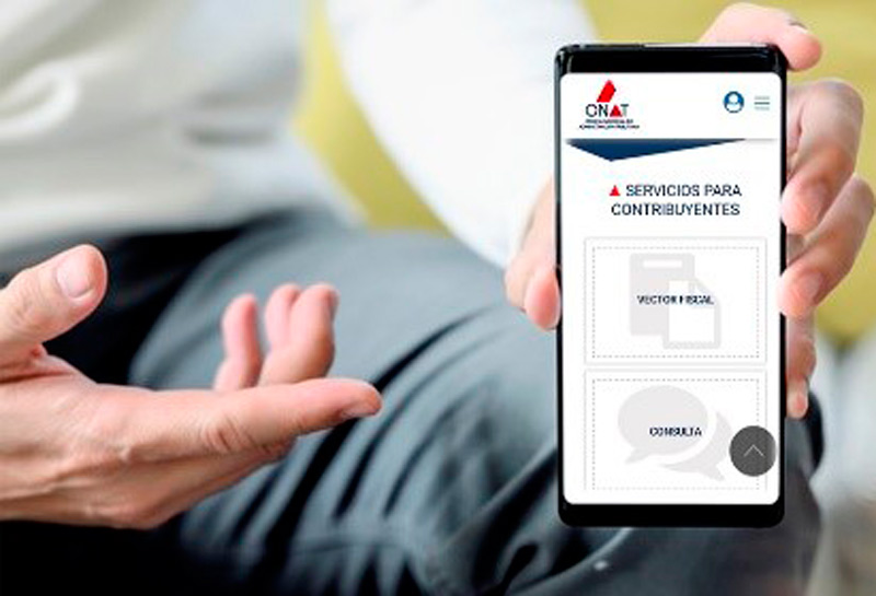 onat plataformas digitales