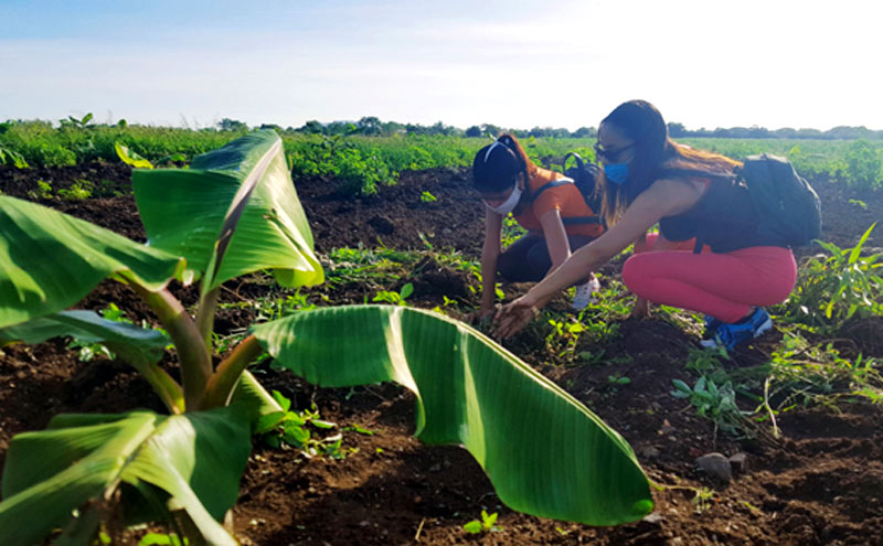 universidad producion alimentos