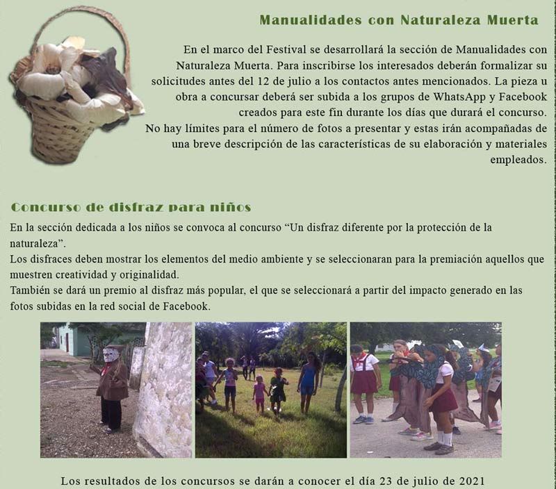 concurso de plantas orrnamentales