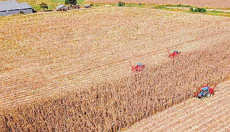 cosechadora granos 07