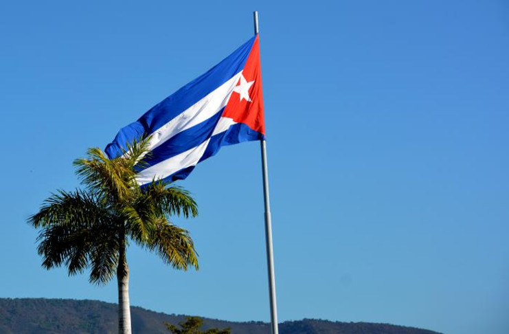 palma bandera cubana