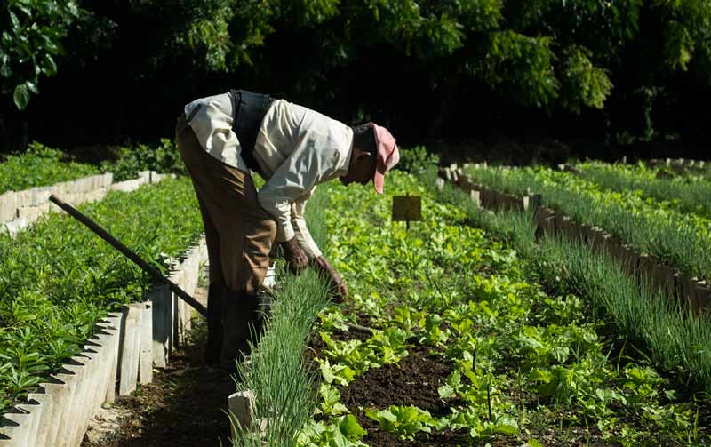 Holguín soberanía alimentaria 3