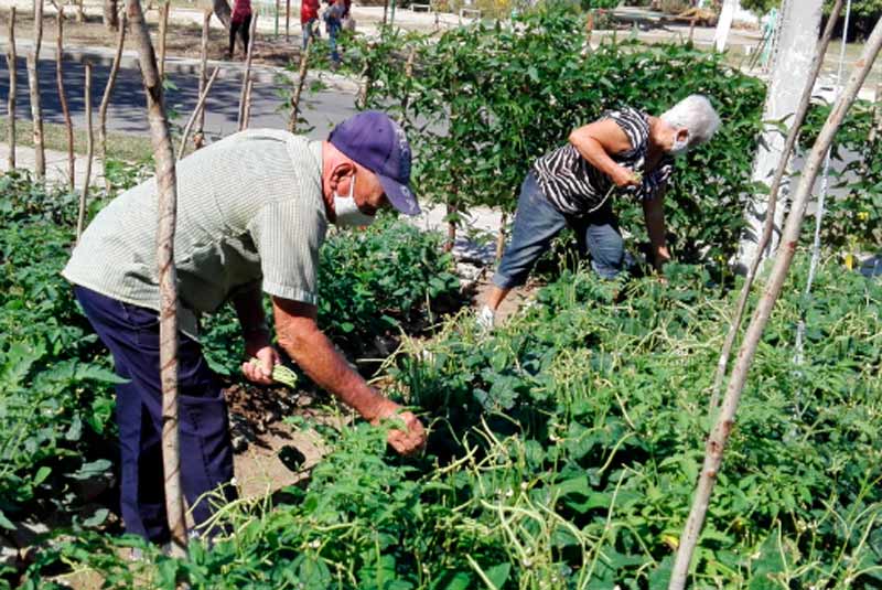 Holguín soberanía alimentaria 6