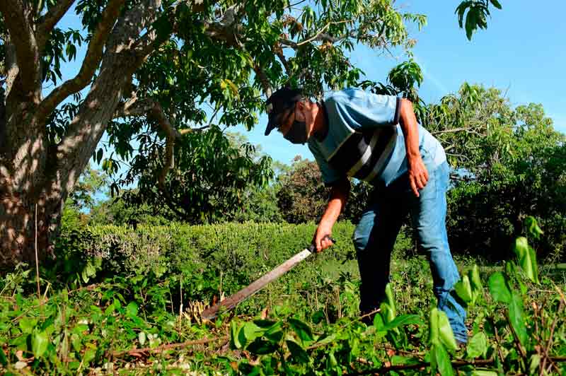 Propaganda caampaña55 CRD 1