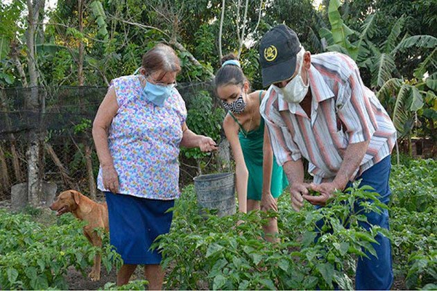 agricultura familiar