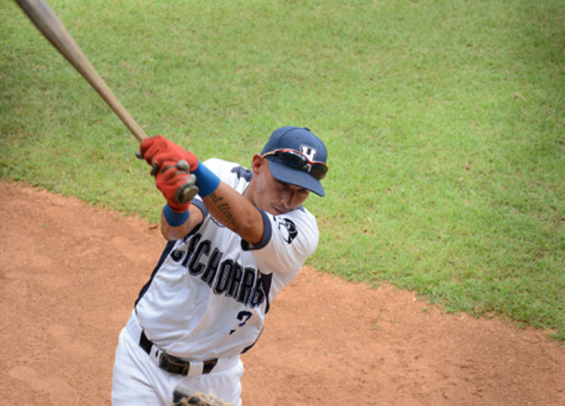 cachorros