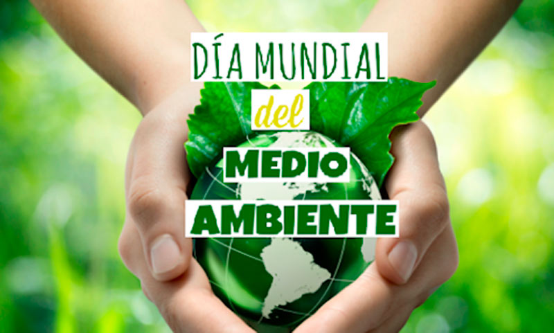 medio ambiente dia