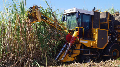 CCA 5000 cedema