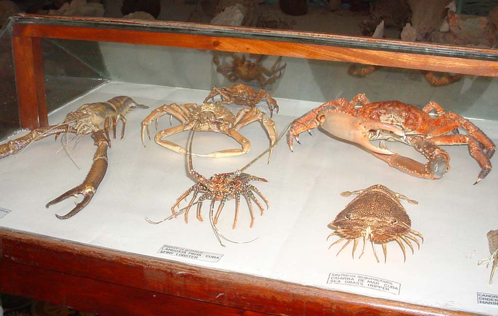 ELA Museo Gibara 09