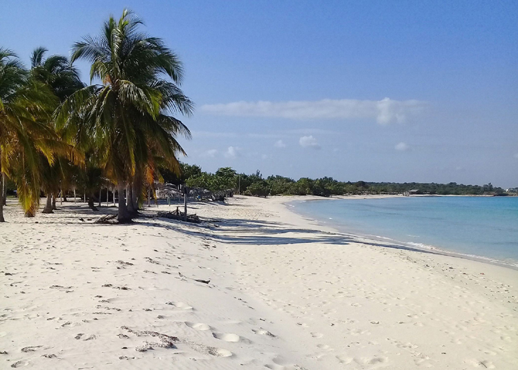 Playa h6